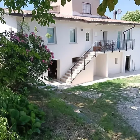 Casa Olive Family *
