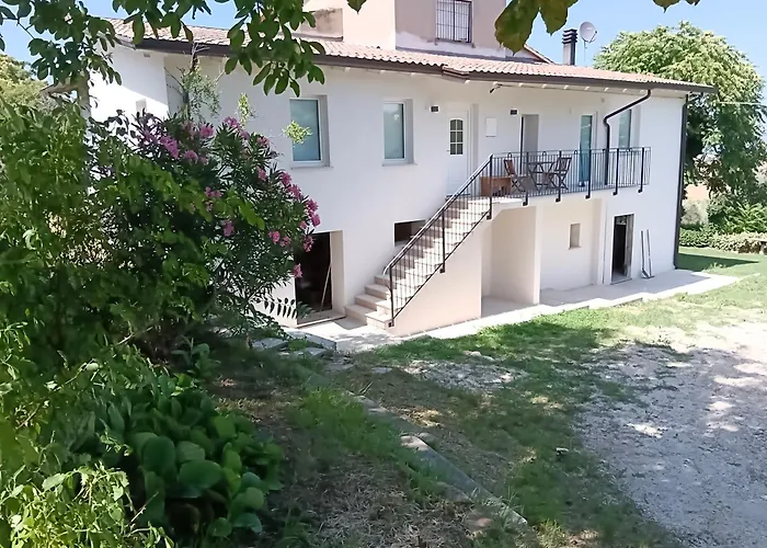 Casa Olive Family *